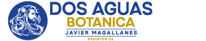 Dos Aguas Botanica